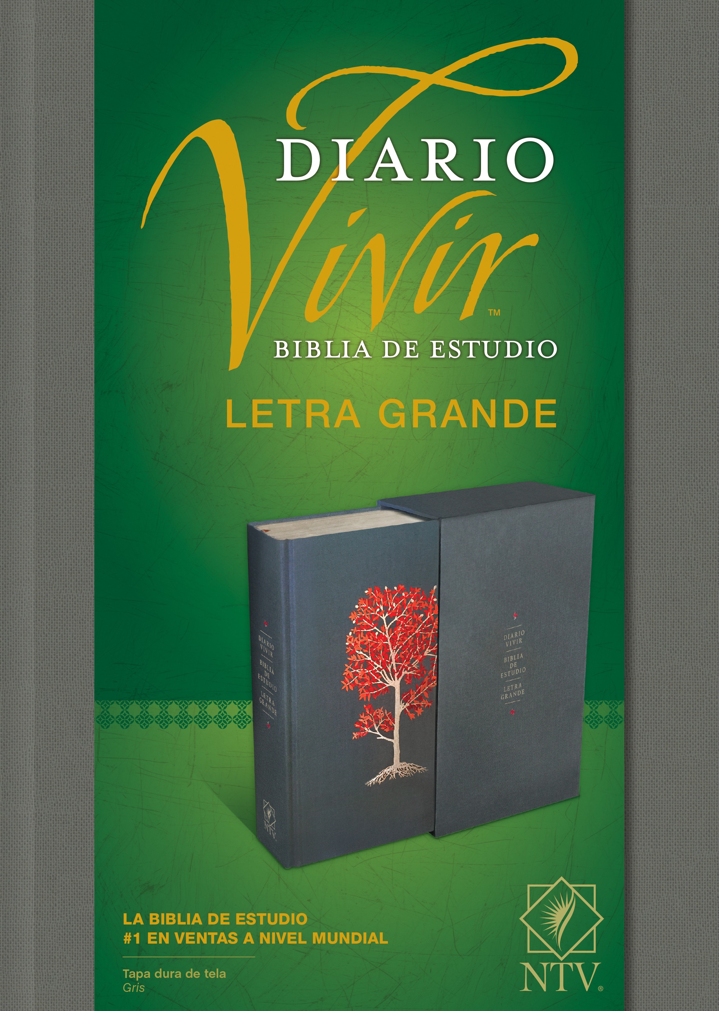  Biblia de estudio del diario vivir NTV, letra grande