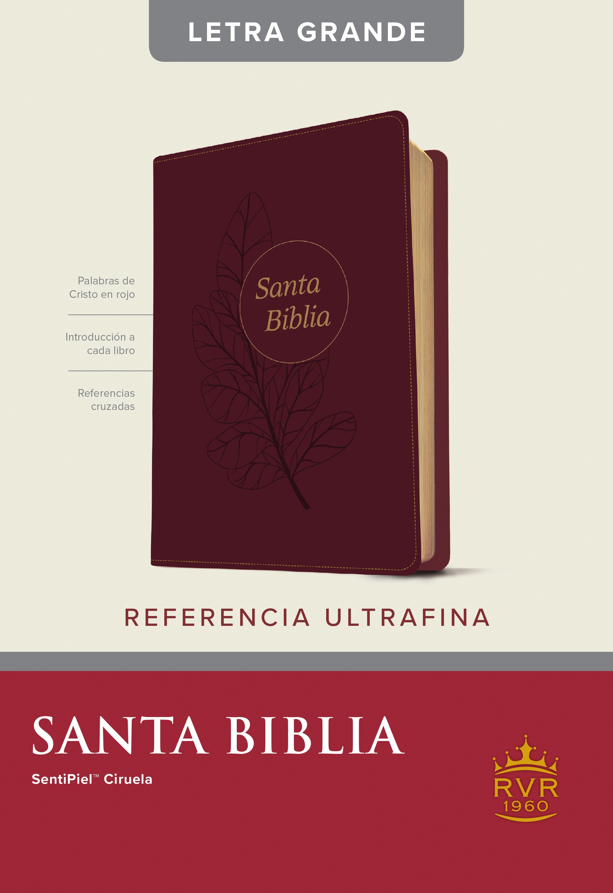  Santa Biblia RVR60, Edición de referencia ultrafina, letra grande (SentiPiel, Ciruela, Índice, Letra Roja)