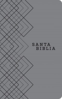  Santa Biblia NTV, Edición ágape
