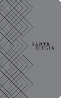  Santa Biblia NTV, Edición ágape (SentiPiel, Gris)